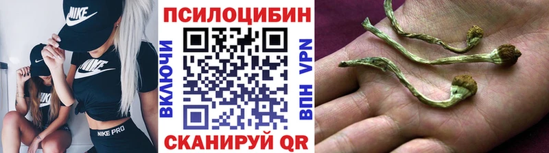Псилоцибиновые грибы Cubensis  Чапаевск 