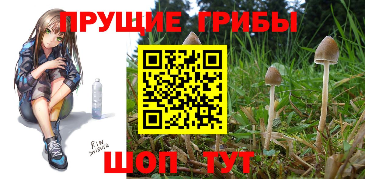 Галлюциногенные грибы GOLDEN TEACHER Чапаевск