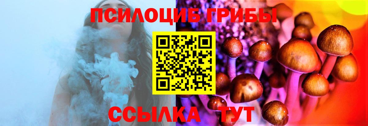 Галлюциногенные грибы Psilocybine cubensis  Галлюциногенные грибы GOLDEN TEACHER  Чапаевск  Вход с VPN 